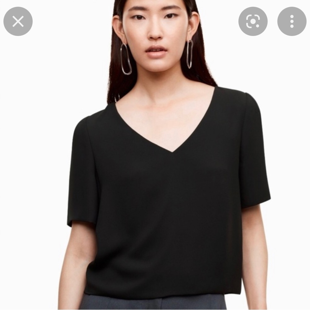 Aritzia Babaton v-neck black randy top blouse